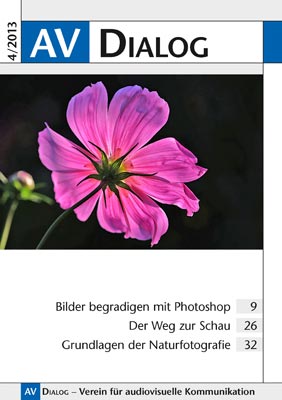 Titelseite 4/2013